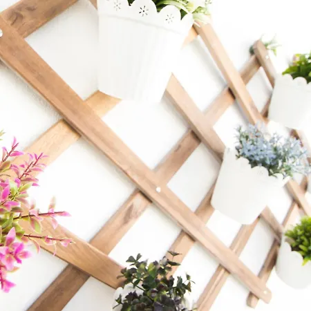 Fabulous At Unesco World Heritage Center Coimbra