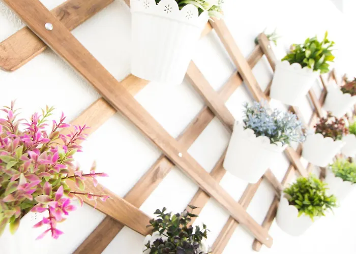 Fabulous At Unesco World Heritage Center Coimbra